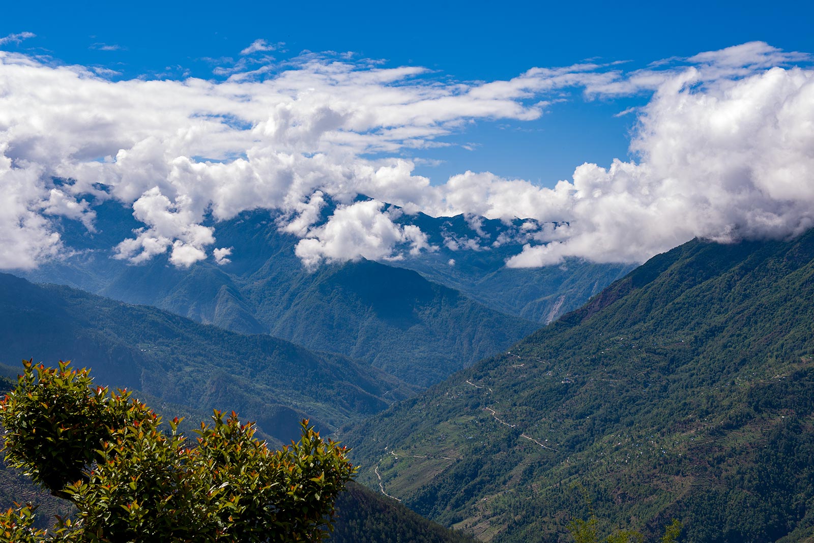 Digital Profiling Software for Municipal Governance in Nepal