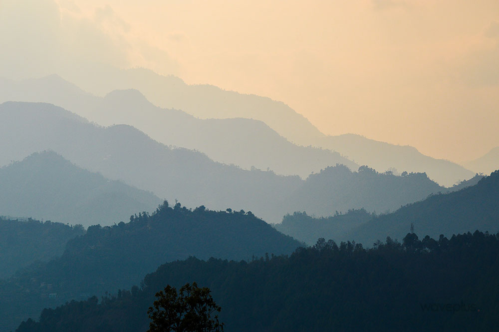 Digital Profiling Software for Municipal Governance in Nepal